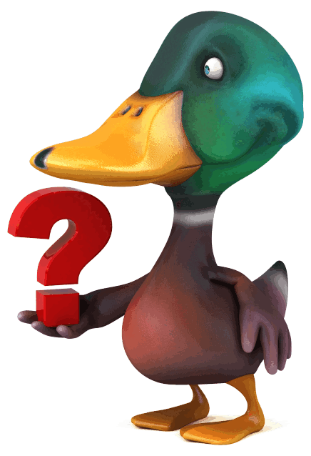 Duck Voice About Ducks